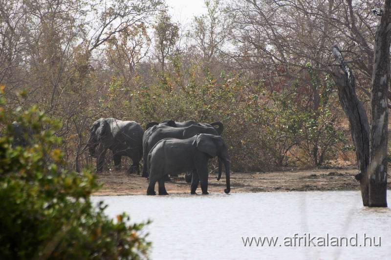2011Burkina_0499.jpg