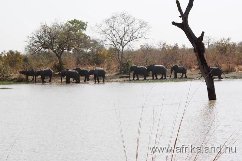 2011Burkina_0506.jpg