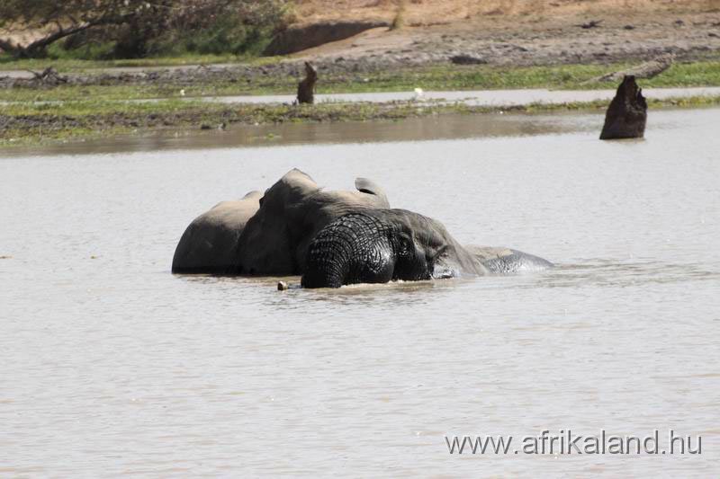 2011Burkina_0509.jpg