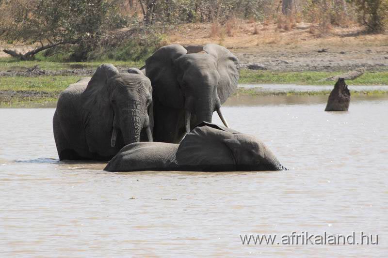 2011Burkina_0512.jpg