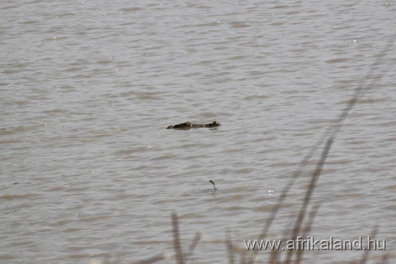 2011Burkina_0513.jpg