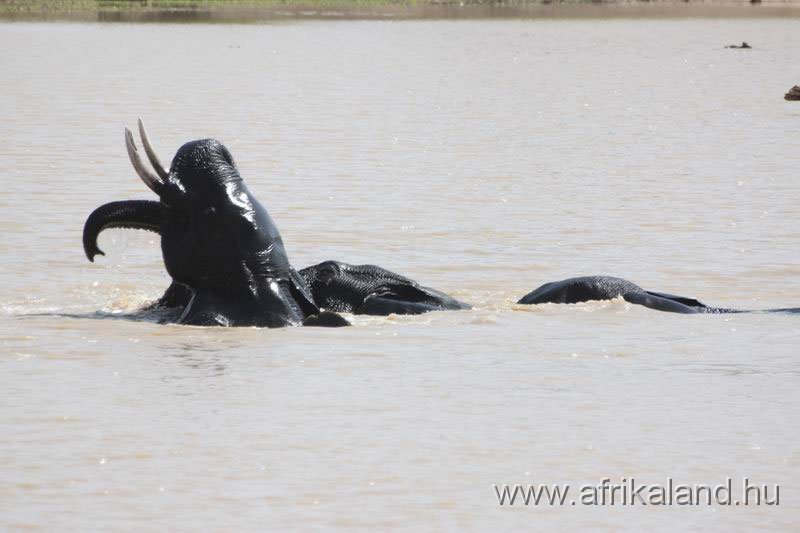 2011Burkina_0514.jpg