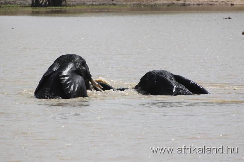 2011Burkina_0516.jpg