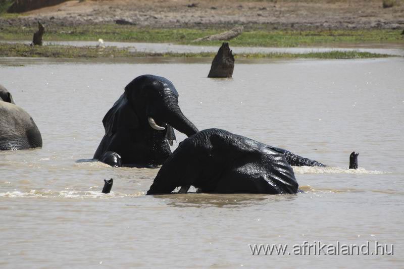 2011Burkina_0517.jpg