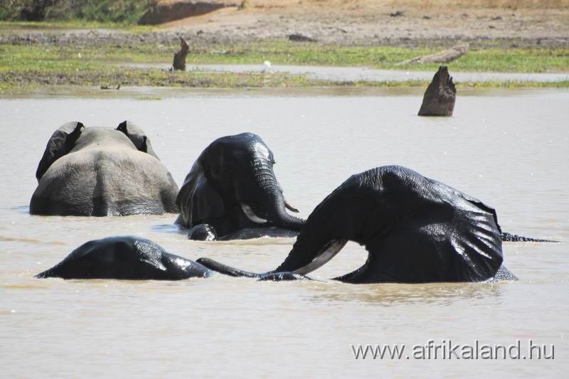 2011Burkina_0518.jpg