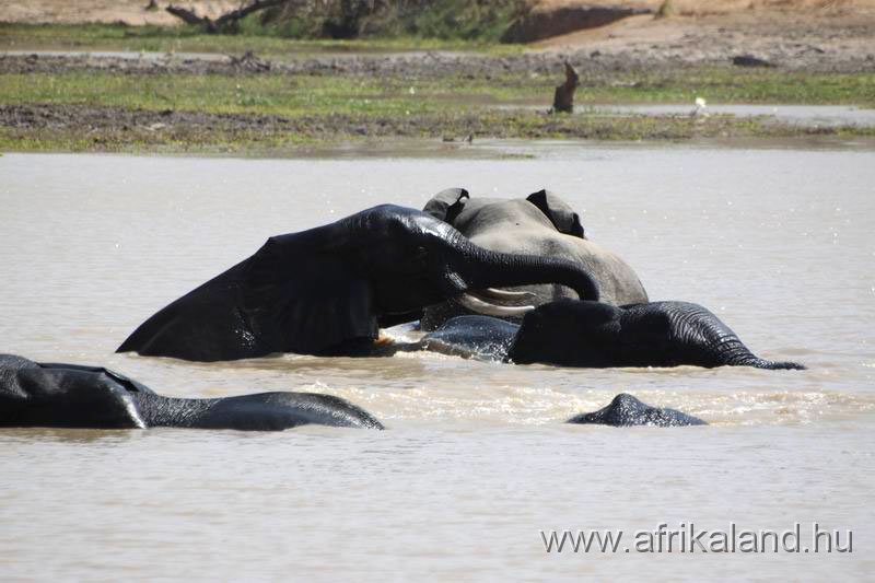 2011Burkina_0520.jpg