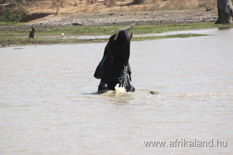 2011Burkina_0521.jpg