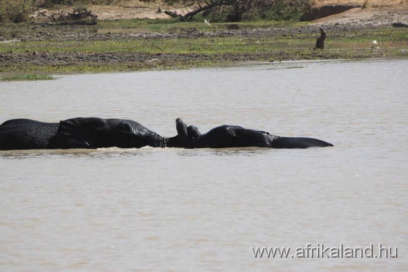 2011Burkina_0522.jpg