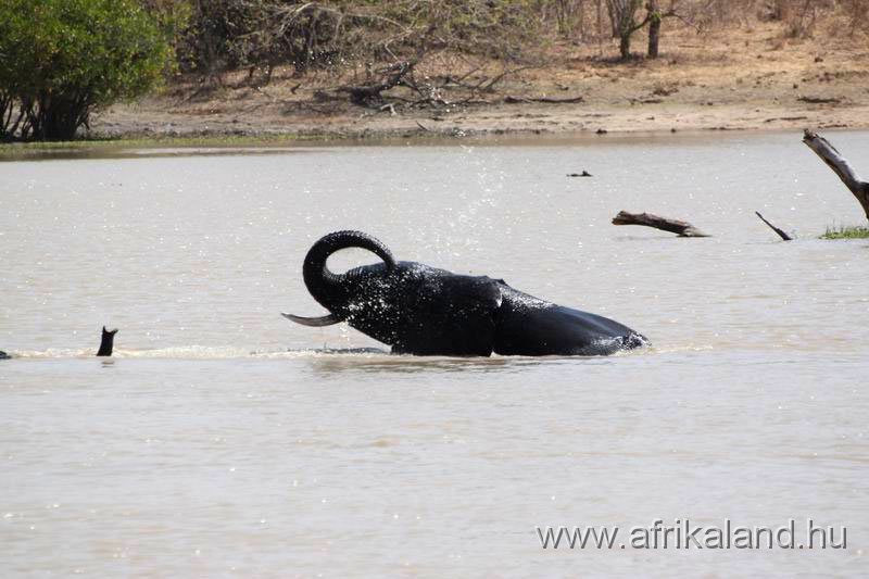 2011Burkina_0523.jpg