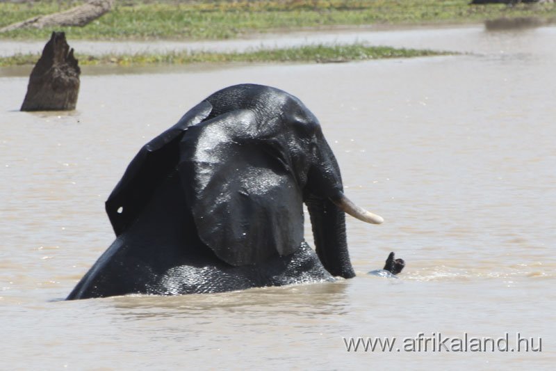 2011Burkina_0525.jpg