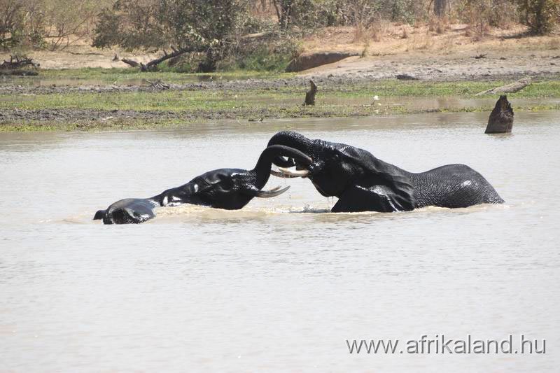 2011Burkina_0527.jpg