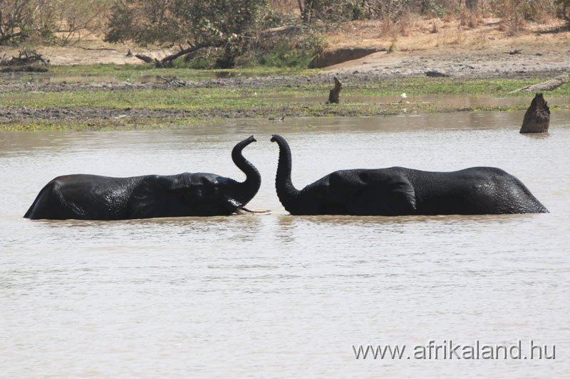 2011Burkina_0528.jpg