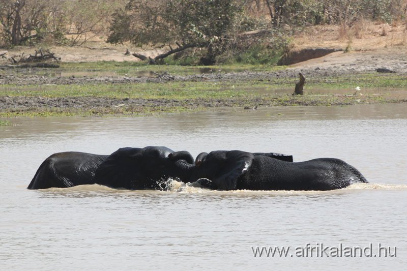 2011Burkina_0529.jpg