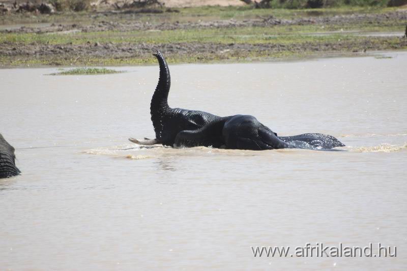 2011Burkina_0530.jpg