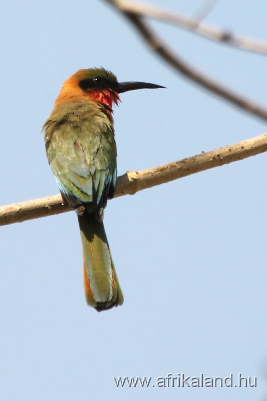 2011Burkina_0531.jpg