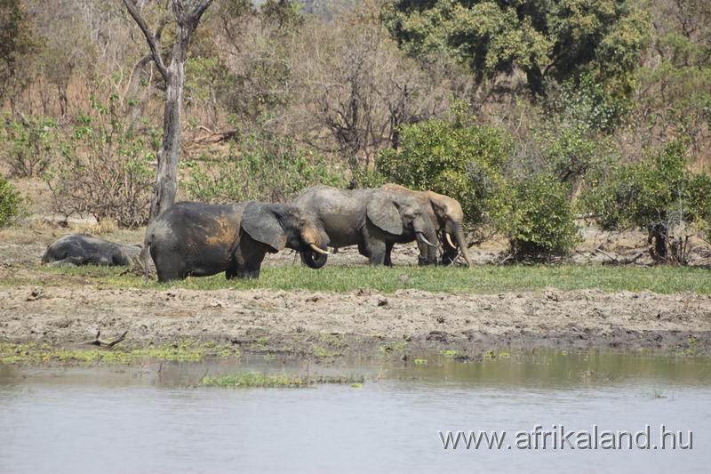 2011Burkina_0534.jpg