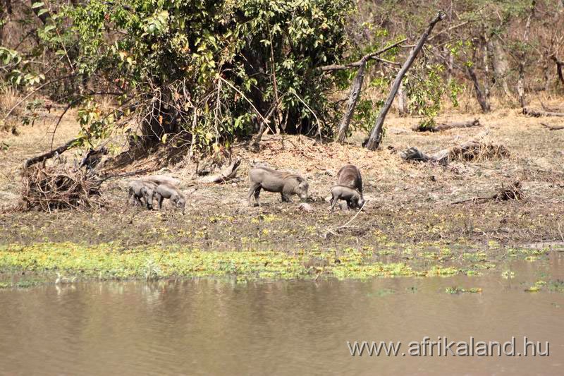 2011Burkina_0535.jpg