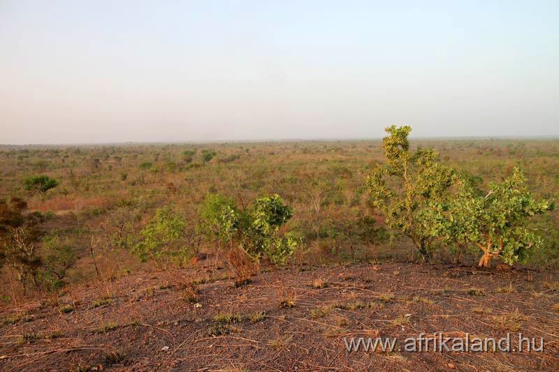 2011Burkina_0547.jpg