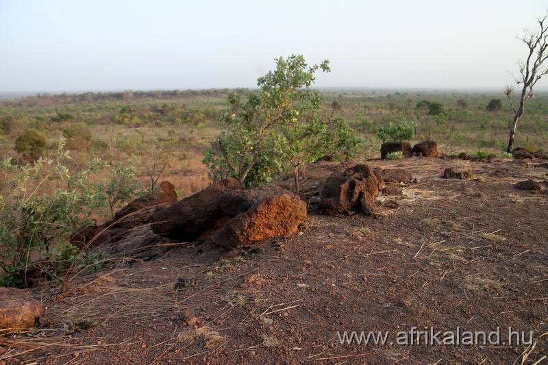 2011Burkina_0548.jpg