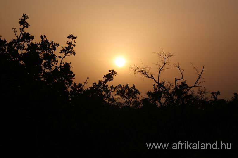 2011Burkina_0550.jpg