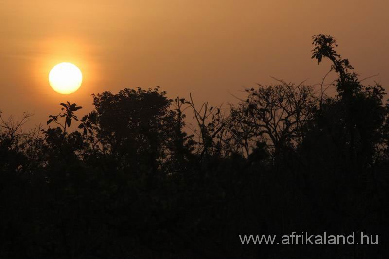 2011Burkina_0553.jpg