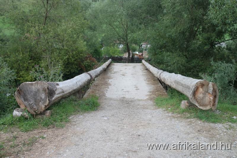 IMG_5528.JPG