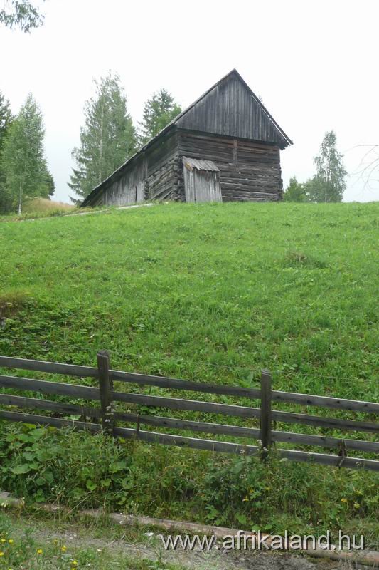 P1060271.JPG