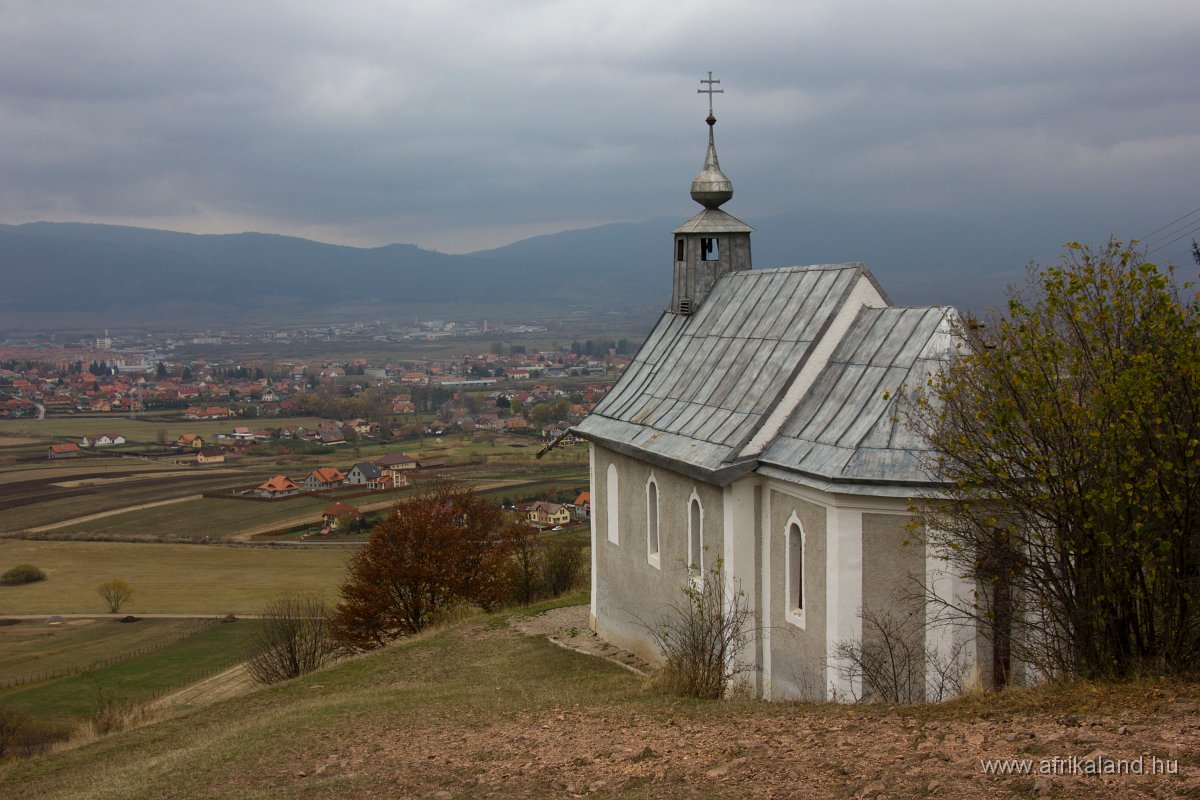 IMG_4714.jpg