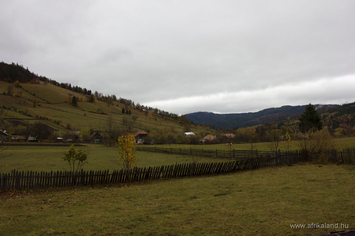 IMG_4853.jpg