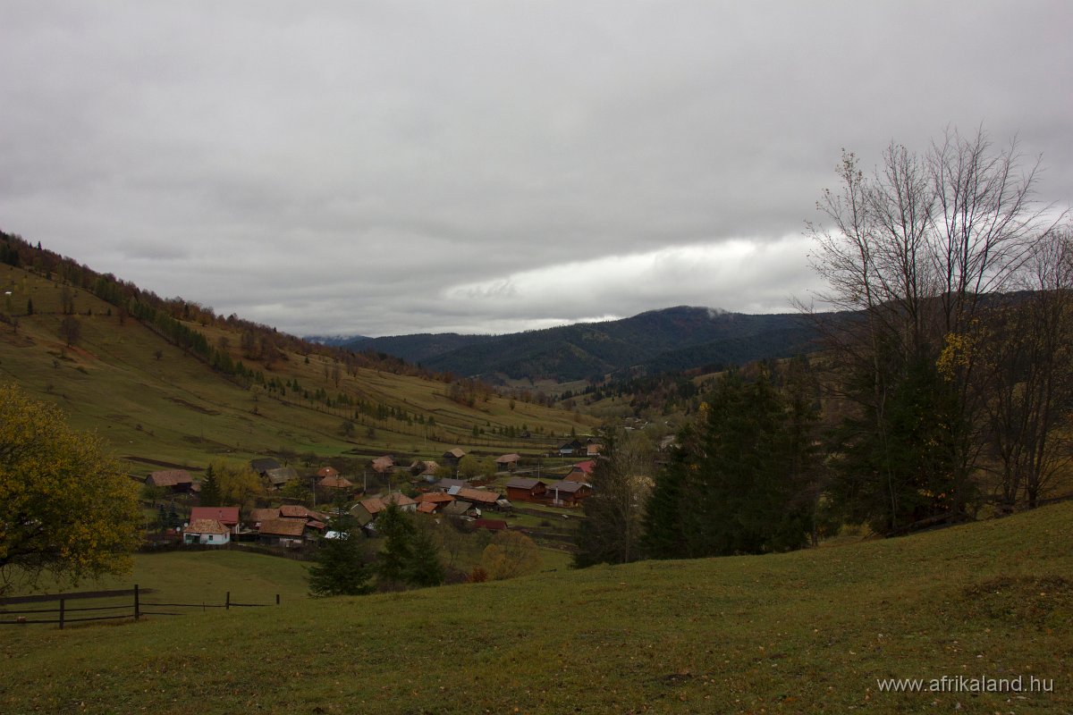 IMG_4857.jpg
