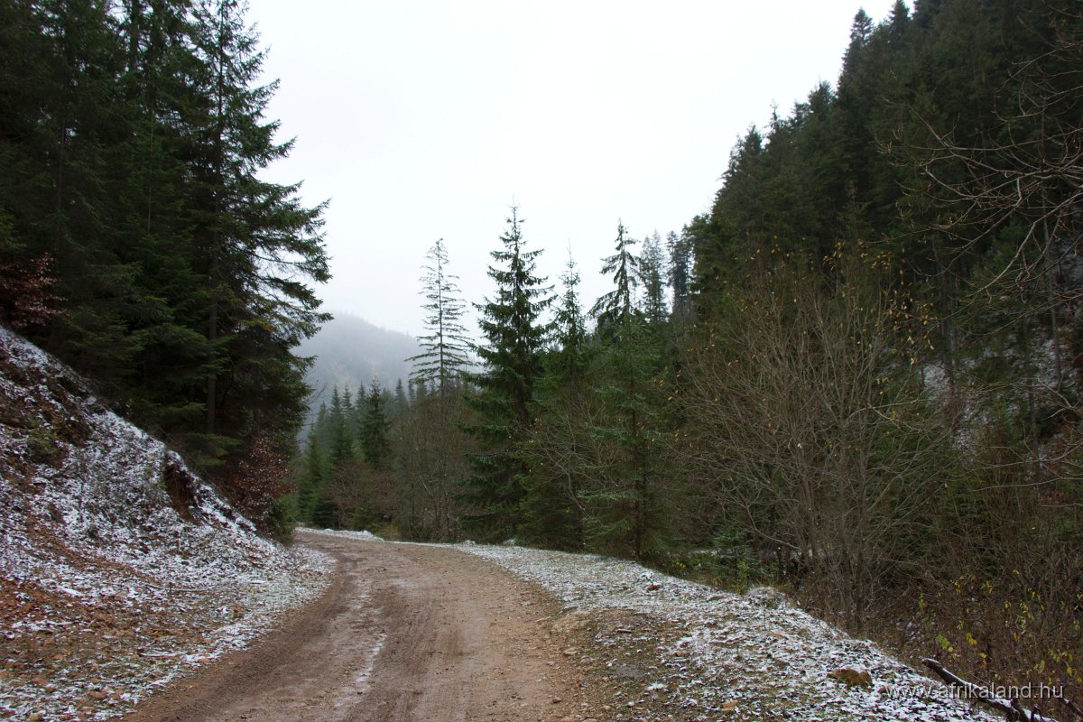 IMG_4899.jpg