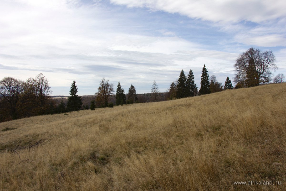 IMG_5093.jpg