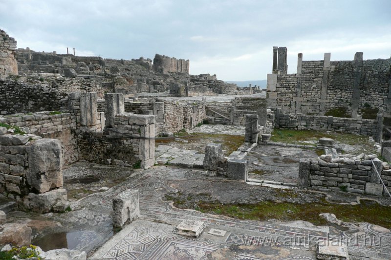 Saharun_103.JPG