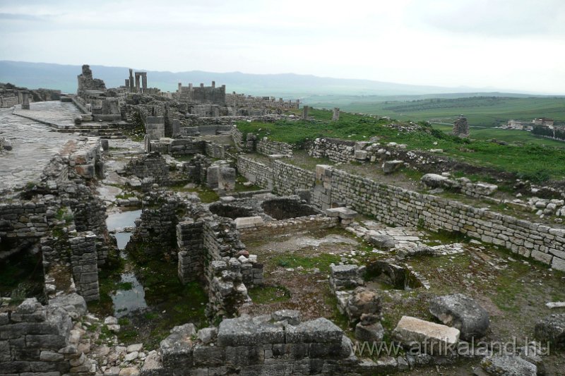 Saharun_105.JPG