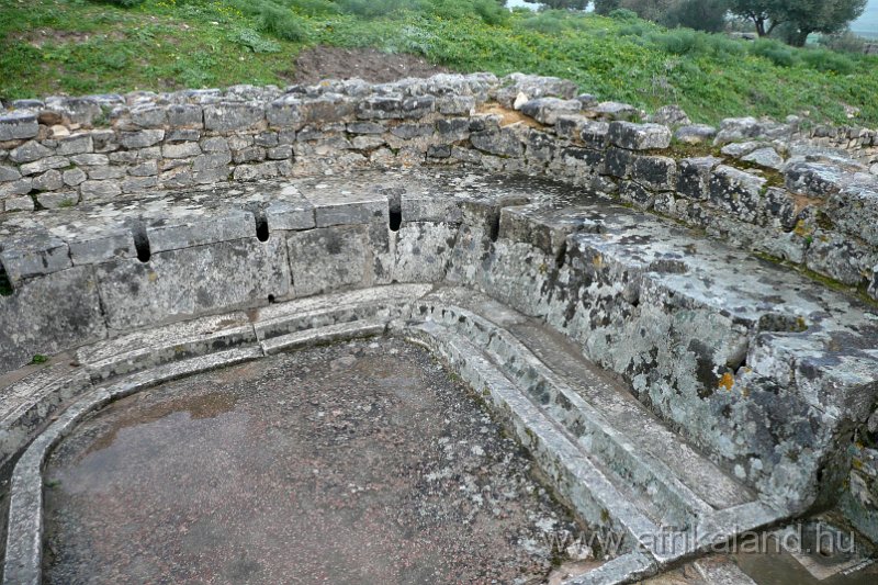 Saharun_115.JPG