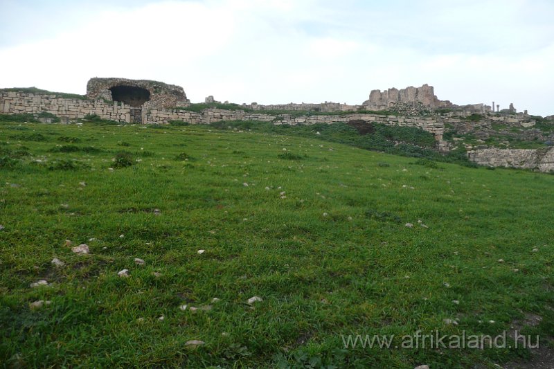 Saharun_116.JPG