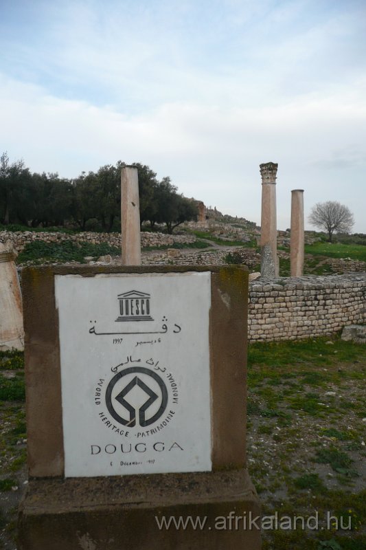 Saharun_117.JPG