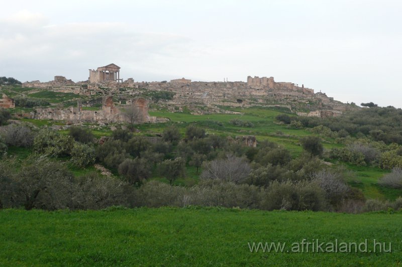 Saharun_121.JPG