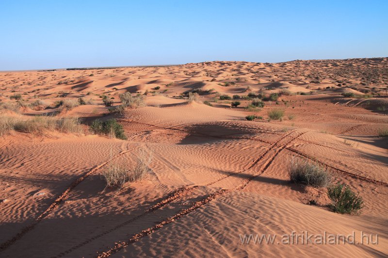 Saharun_226.JPG
