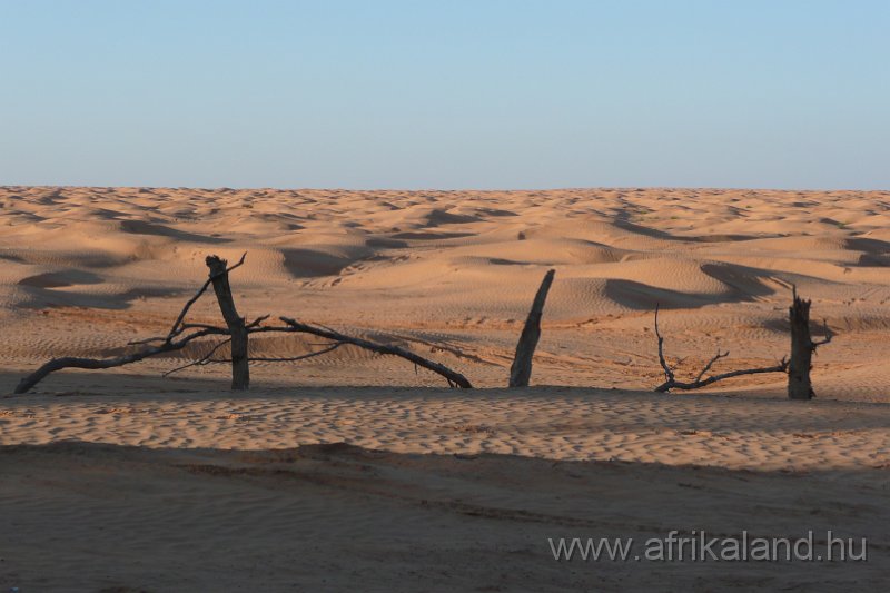 Saharun_284.JPG