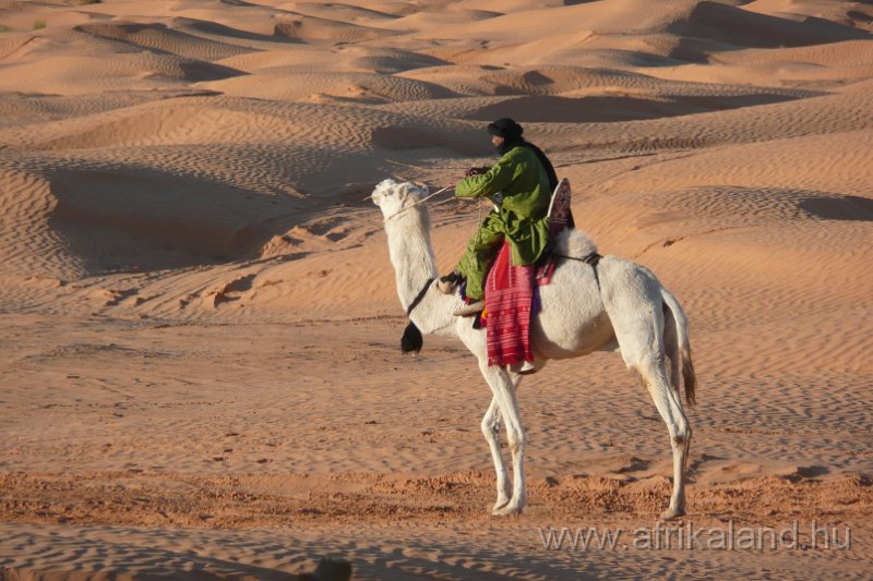Saharun_285.JPG