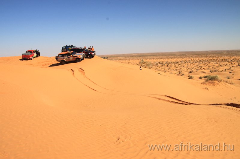 Saharun_305.JPG
