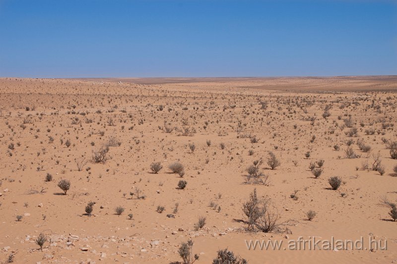 Saharun_360.jpg