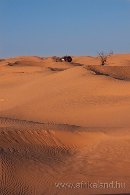 Saharun_379.jpg