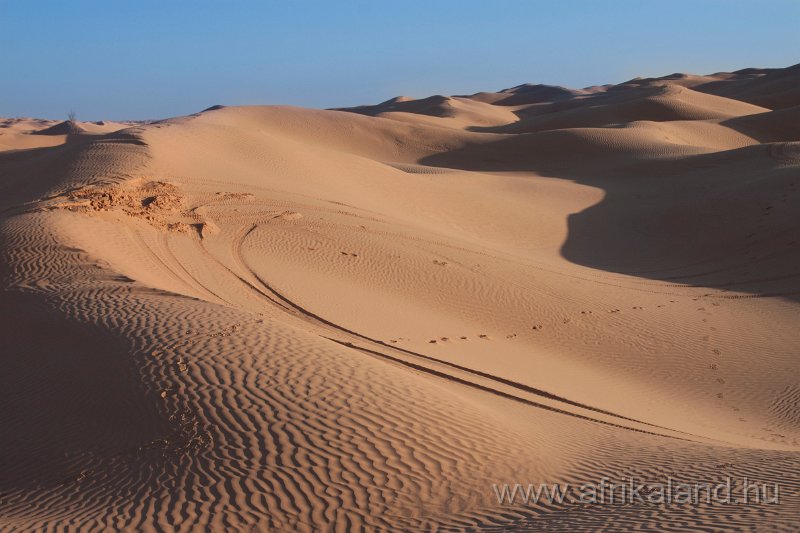 Saharun_383.jpg
