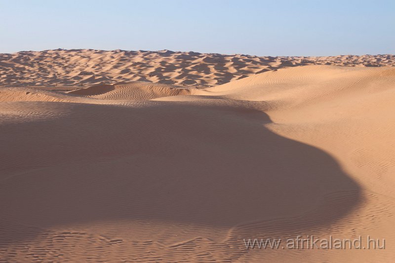 Saharun_384.jpg