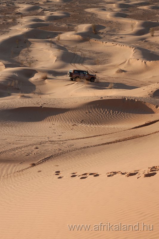 Saharun_387.jpg