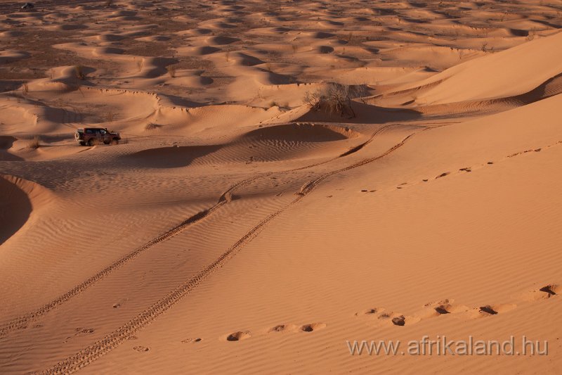 Saharun_389.jpg