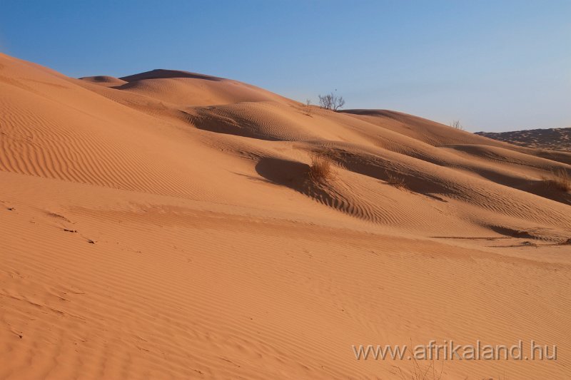 Saharun_393.jpg