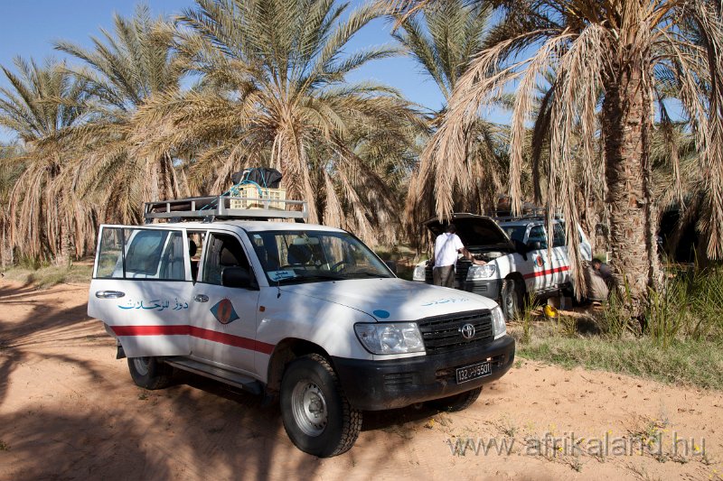 Saharun_406.jpg